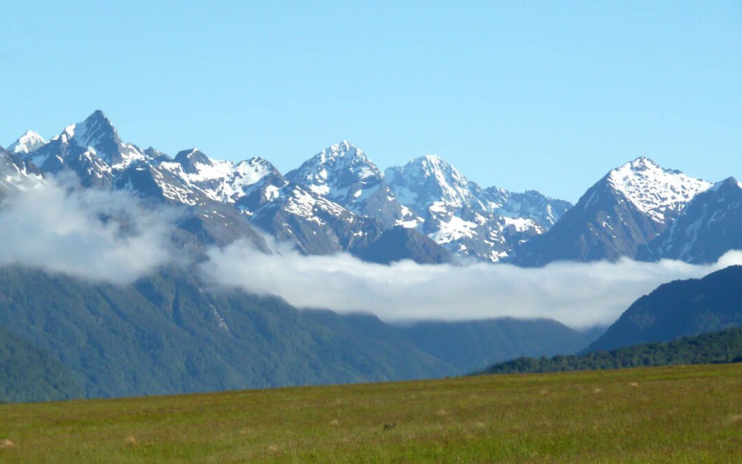New Zealand – 2011